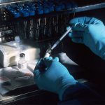 produkcja kontraktowa suplementów diety